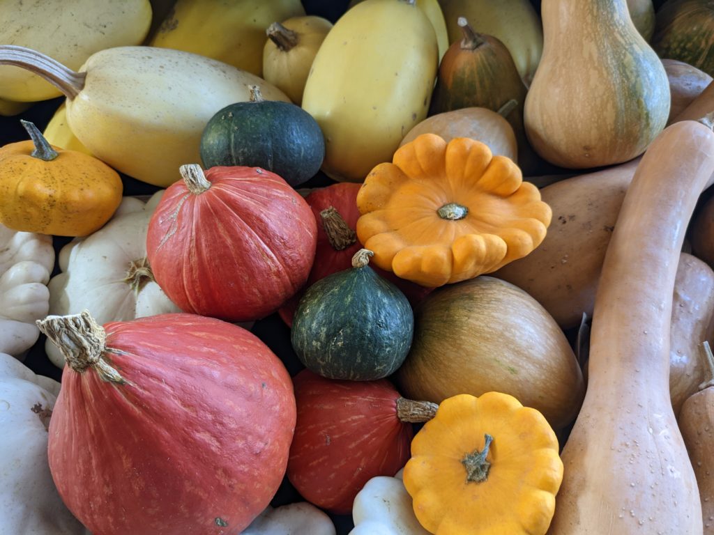 Abondance automnale de légumes