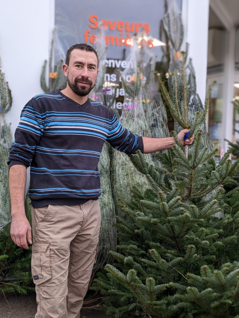 Les sapins de Noël produits par Nicolas Desroches